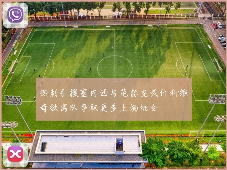 热刺引援塞内西与范赫克武什科维奇欲离队争取更多上场机会